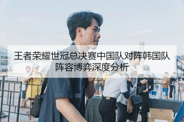 王者荣耀世冠总决赛中国队对阵韩国队阵容博弈深度分析（hth）